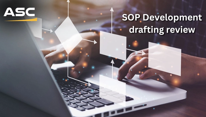 SOP Consulting Services